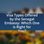 Visa Types Offered by the Senegal Embassy: Which One is Right for You?