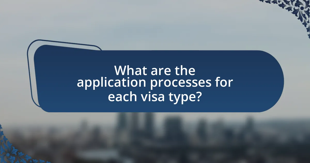 What are the application processes for each visa type?